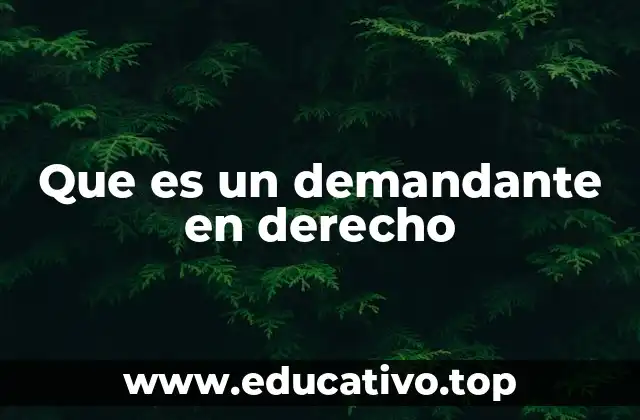 Que es un demandante en derecho