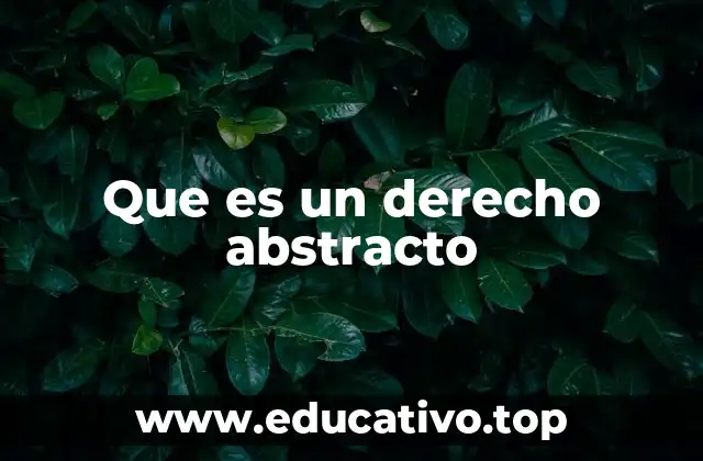 Que es un derecho abstracto
