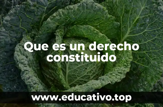Que es un derecho constituido