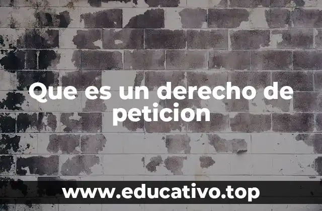 Que es un derecho de peticion