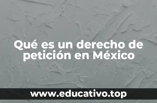 Qué es un derecho de petición en México
