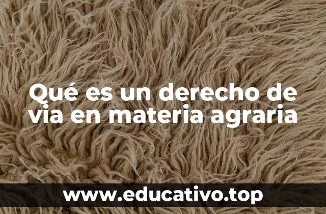 Qué es un derecho de via en materia agraria