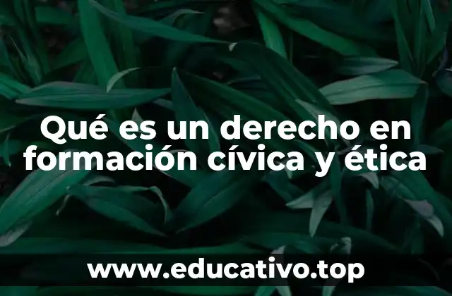 Qué es un derecho en formación cívica y ética