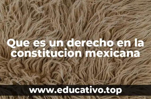 Que es un derecho en la constitucion mexicana