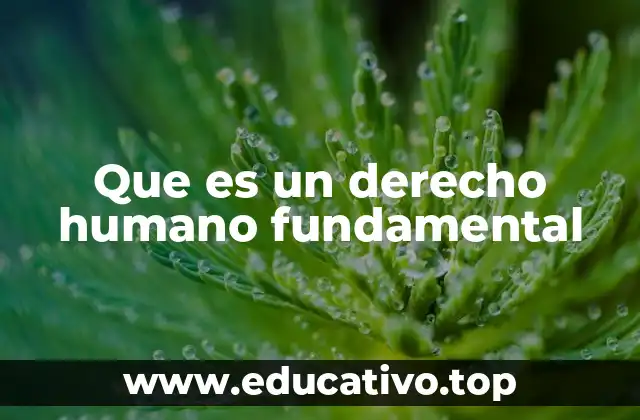 Que es un derecho humano fundamental