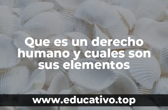 Que es un derecho humano y cuales son sus elementos