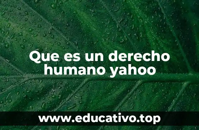 Que es un derecho humano yahoo