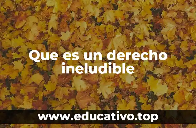 Que es un derecho ineludible