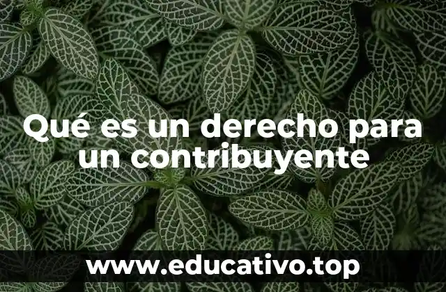 Qué es un derecho para un contribuyente