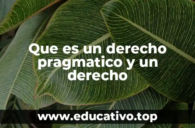 Que es un derecho pragmatico y un derecho