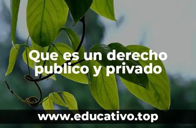 Que es un derecho publico y privado