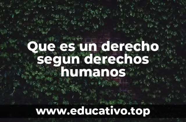 Que es un derecho segun derechos humanos