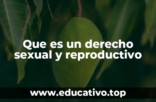 Que es un derecho sexual y reproductivo