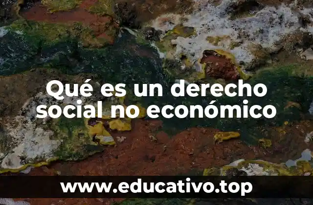 Qué es un derecho social no económico