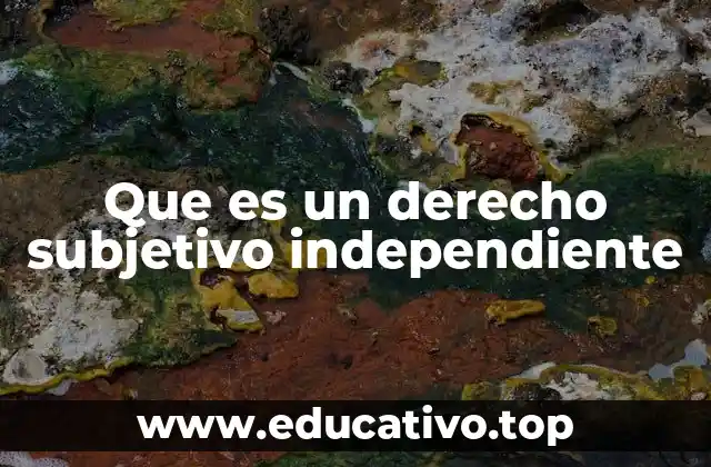Que es un derecho subjetivo independiente