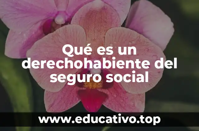 Qué es un derechohabiente del seguro social