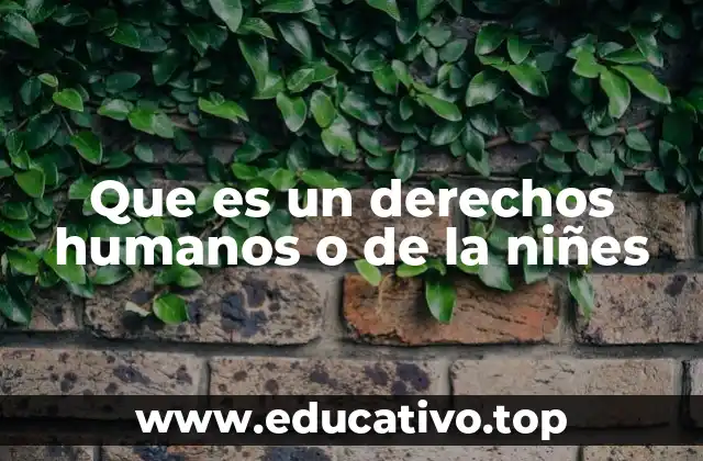 Que es un derechos humanos o de la niñes