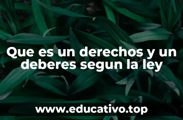 Que es un derechos y un deberes segun la ley