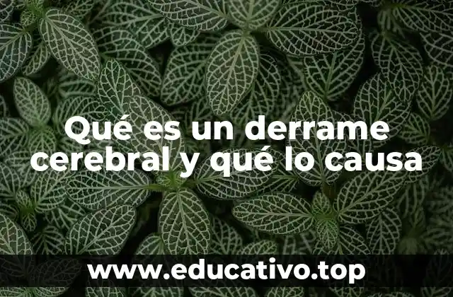 Qué es un derrame cerebral y qué lo causa