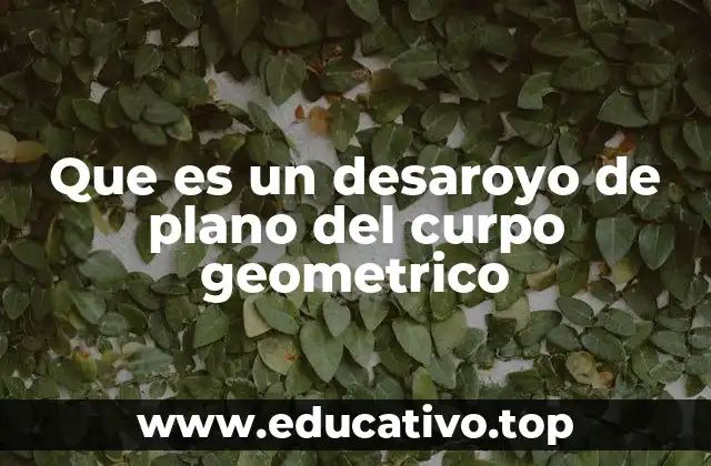 Que es un desaroyo de plano del curpo geometrico