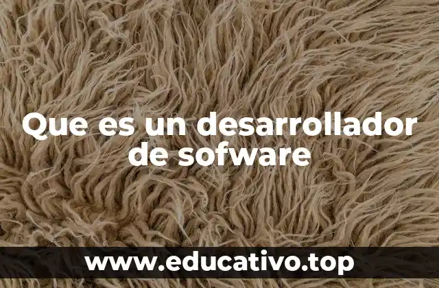 Que es un desarrollador de sofware