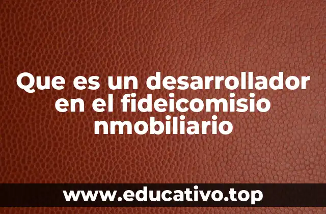 Que es un desarrollador en el fideicomisio nmobiliario