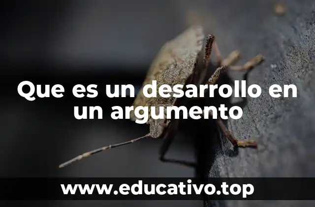 Que es un desarrollo en un argumento