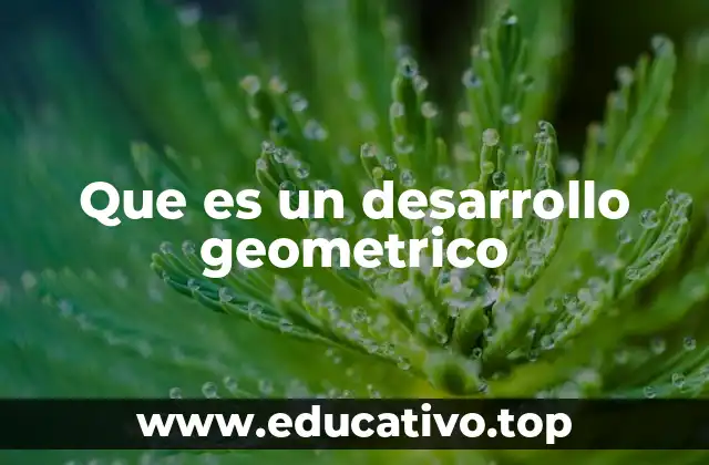Que es un desarrollo geometrico