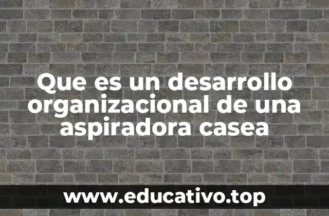 Que es un desarrollo organizacional de una aspiradora casea