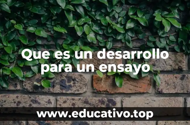 Cómo construir un desarrollo efectivo en un ensayo