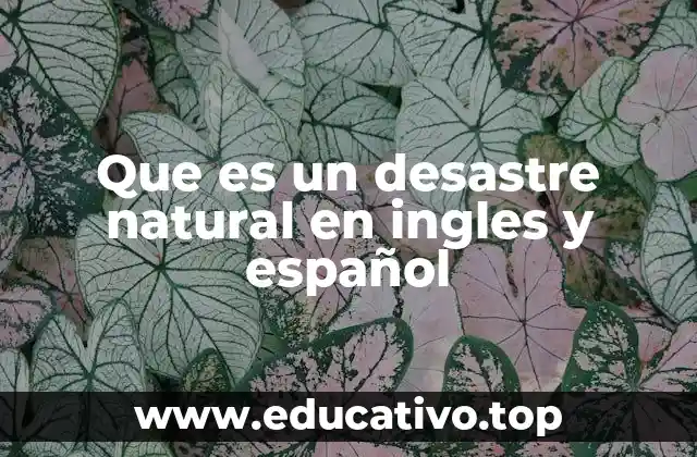 Que es un desastre natural en ingles y español
