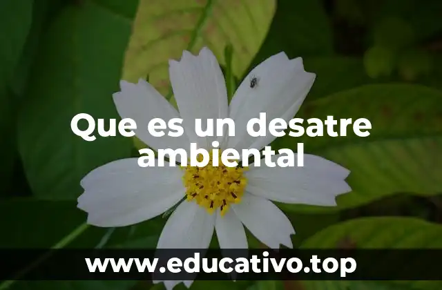 Que es un desatre ambiental