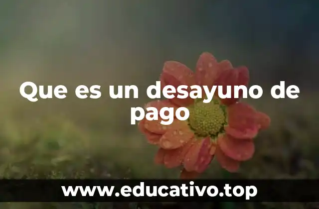 Diferencias entre un desayuno de pago y otros tipos de desayuno