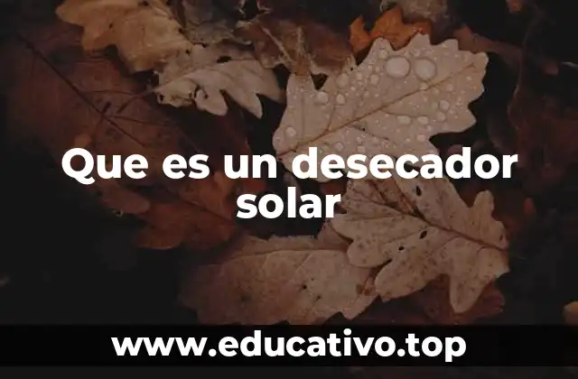 Que es un desecador solar
