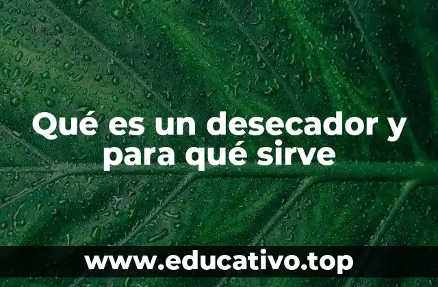 Uso del desecador en el entorno científico
