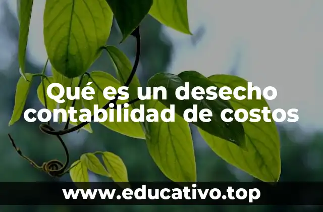 Qué es un desecho contabilidad de costos