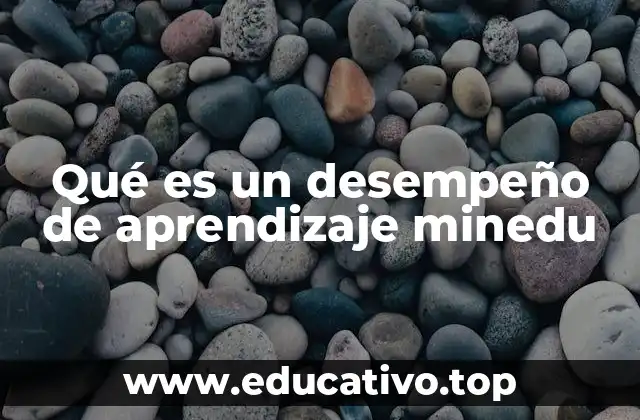 Qué es un desempeño de aprendizaje minedu
