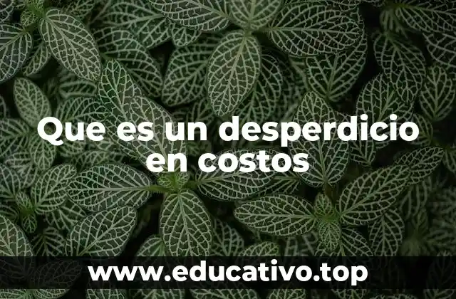 Que es un desperdicio en costos