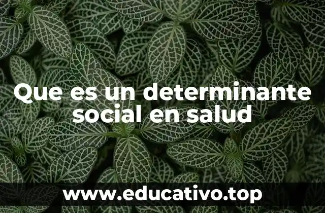 Que es un determinante social en salud