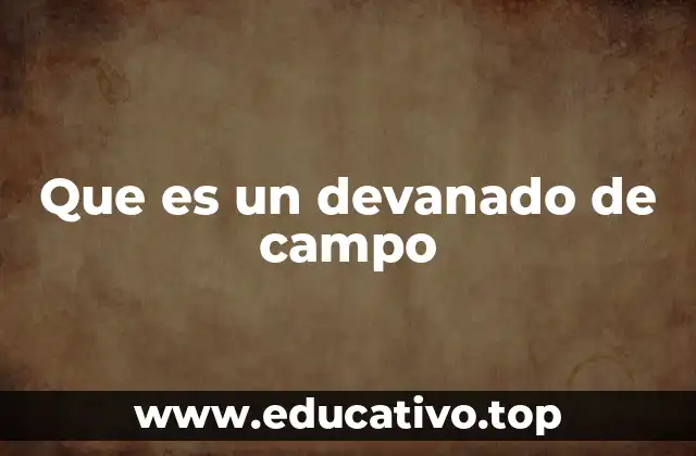 Que es un devanado de campo