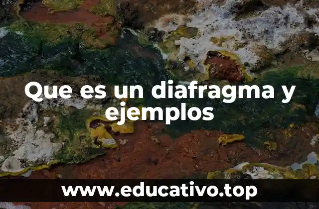 Que es un diafragma y ejemplos