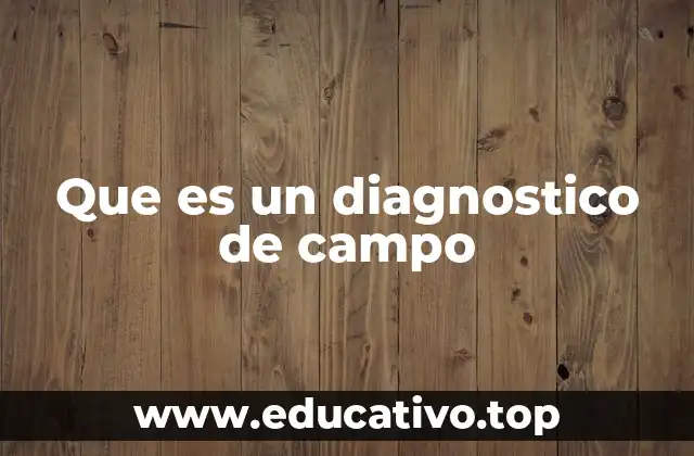 Que es un diagnostico de campo