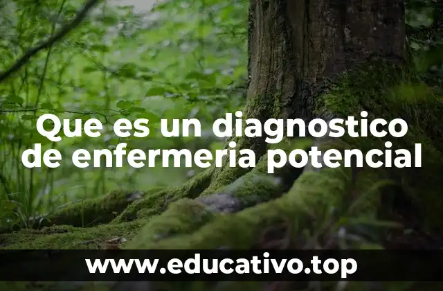 Que es un diagnostico de enfermeria potencial