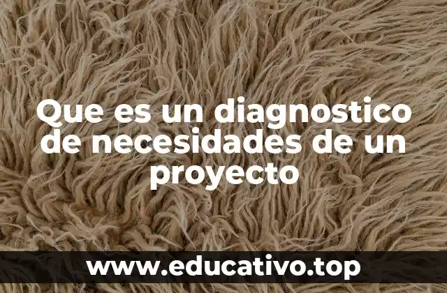 Que es un diagnostico de necesidades de un proyecto
