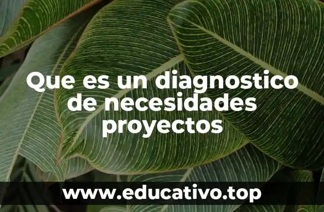 Que es un diagnostico de necesidades proyectos
