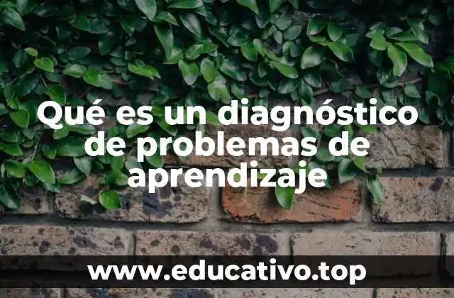 Qué es un diagnóstico de problemas de aprendizaje