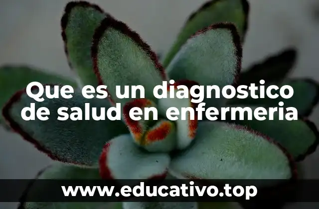 Que es un diagnostico de salud en enfermeria
