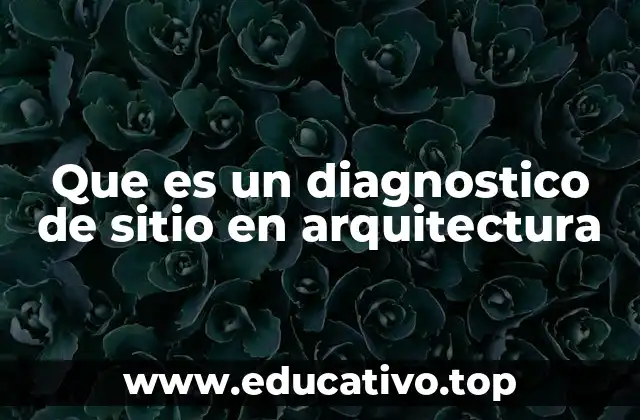 Que es un diagnostico de sitio en arquitectura