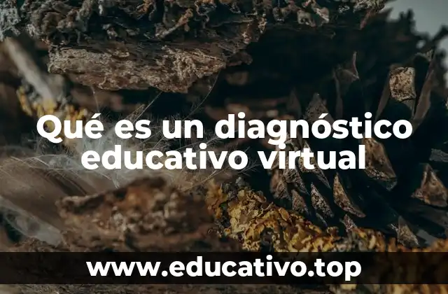 Qué es un diagnóstico educativo virtual