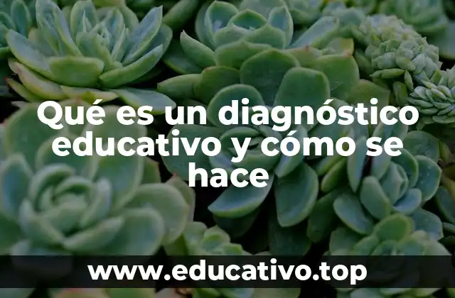 Qué es un diagnóstico educativo y cómo se hace